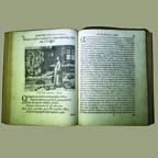Secretioris Naturae Secretorum Scrutinium Chymicum book